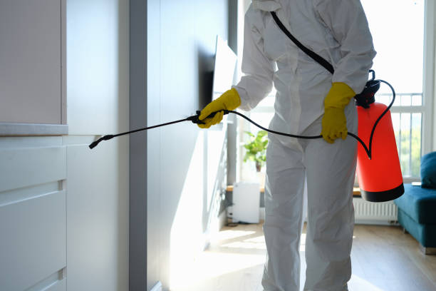 Best Localized Mold Remediation (e.g., coastal areas, humid climates) in Central High, OK