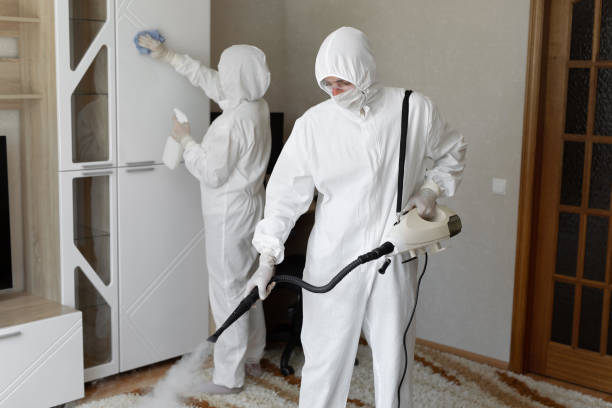 Best DIY Mold Remediation Support Services in Central High, OK