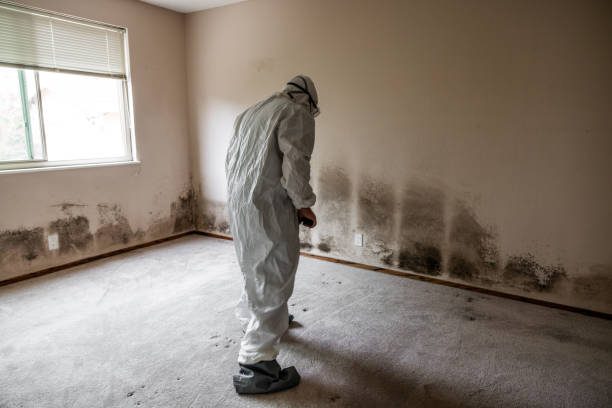 Best Industrial Mold Remediation in Central High, OK